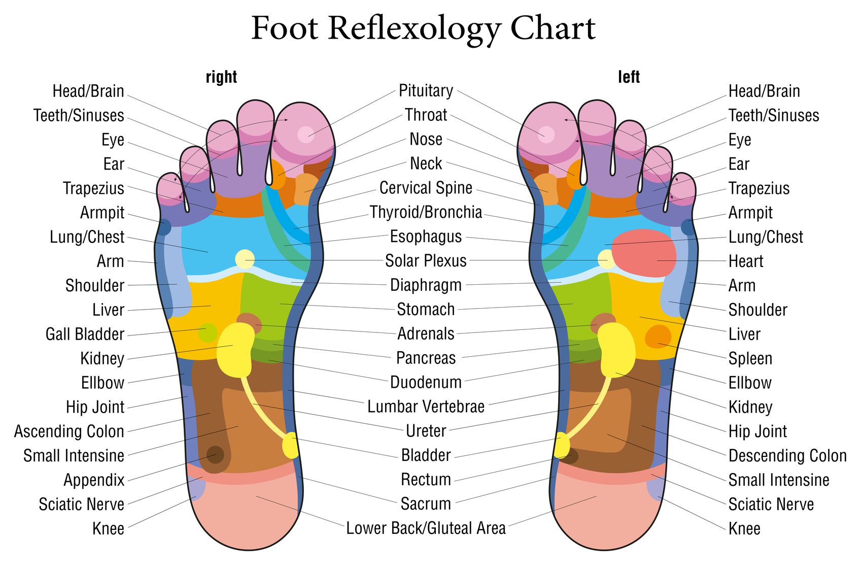 foot reflexology massage mat chart trigger points reflex zones
